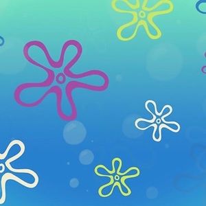 Meet your Posher, Eve